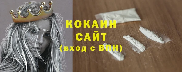 spice Богородск