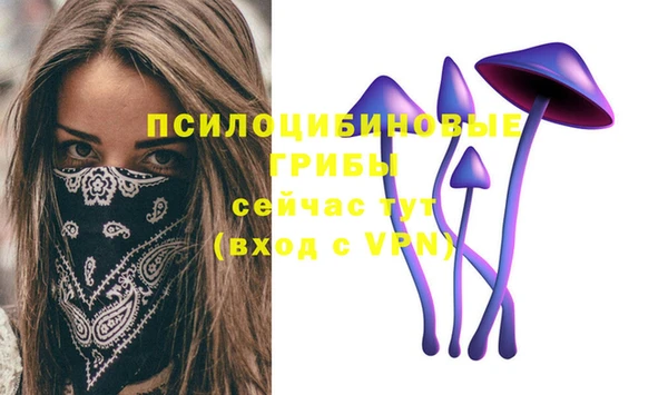 марки nbome Богородицк