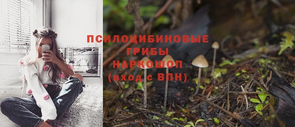 марки nbome Богородицк