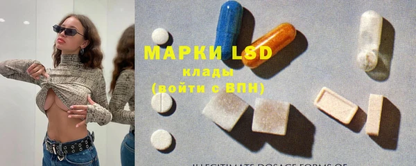 spice Богородск